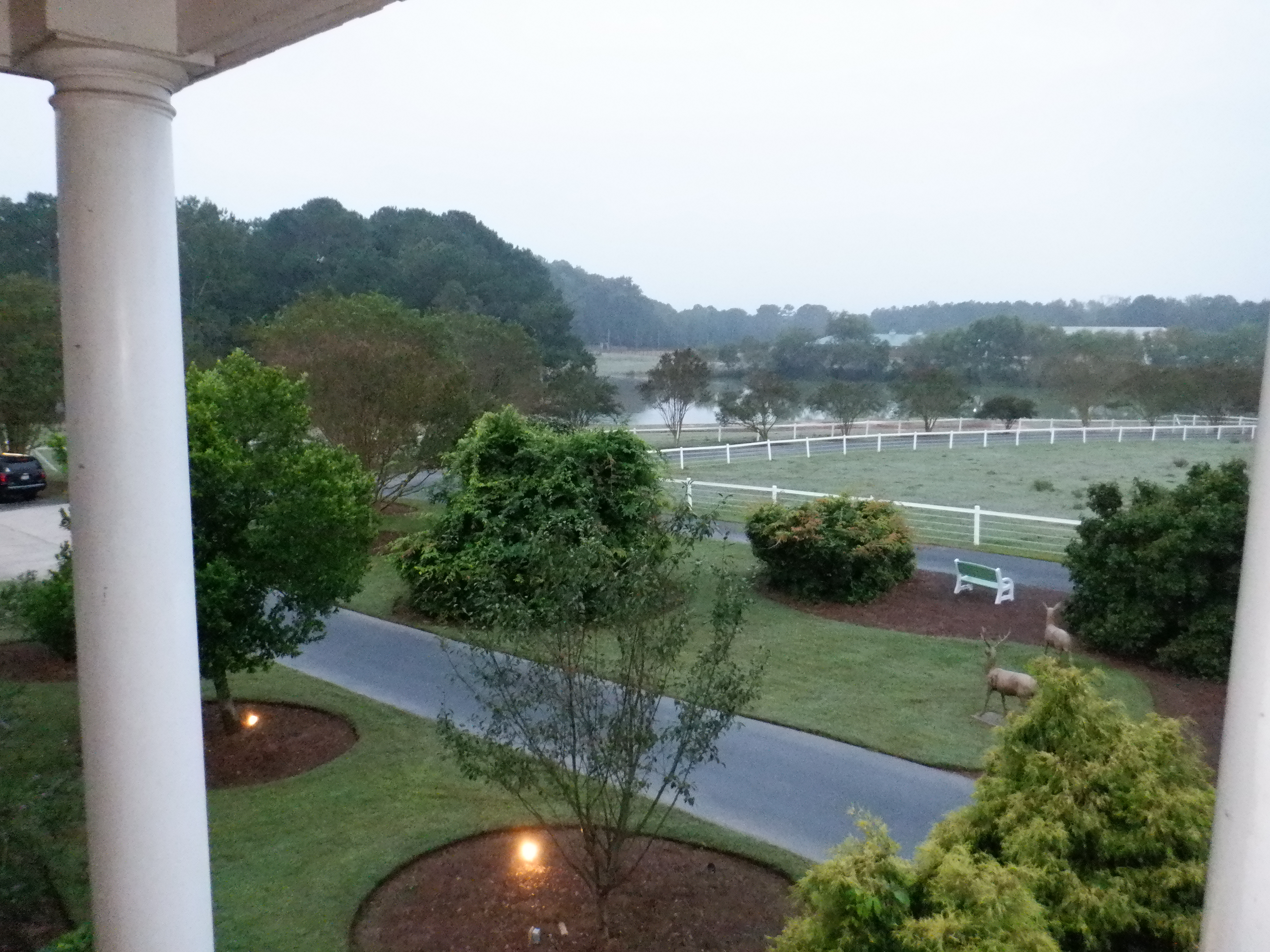 ./2020/10 - Southern Cross/DSCF2227.JPG